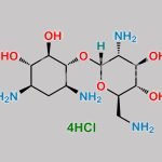 Neamine Hydrochloride CAS#: 15446-43-2