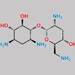 Nebramine CAS#: 34051-04-2