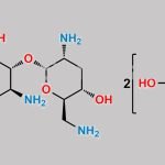 Nebramine Disulfate CAS#: 71122-29-7