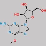 Nelarabine Impurity 23 CAS#: N/A