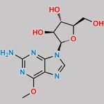 Nelarabine CAS#: 121032-29-9