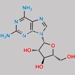 Nelarabine Impurity 10 CAS#: 34079-68-0
