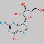 Nelarabine Impurity 19 CAS#: 27462-39-1