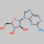 Nelarabine Impurity 20 CAS#: 99316-86-6