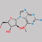 Nelarabine Impurity 21 CAS#: N/A