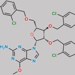 Nelarabine Stage-I Impurity CAS#: 1173825-84-7