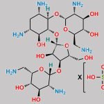 Neomycin B Sulphate CAS#: 28002-70-2