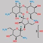 Neomycin B Trisulfate CAS#: 4146-30-9