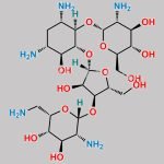 Neomycin EP Impurity E CAS#: 7542-37-2