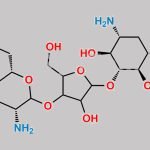 Neomycin Impurity 1 CAS#: N/A