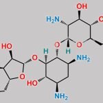 Neomycin Impurity 5 CAS#: 55781-25-4
