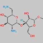 Neomycin Impurity 6 (Mixture of alpha-& beta anomers) CAS#: 52433-41-7