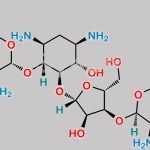 Neomycin sulfate EP Impurity C CAS#: 66-86-4