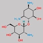 Neomycin sulfate EP Impurity D CAS#: 534-47-4