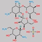 Neomycin sulfate EP Impurity E CAS#: 1263-89-4