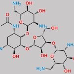 Neomycin sulfate EP Impurity G CAS#: N/A