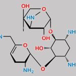 Netilmicin EP Impurity A CAS#: 32385-11-8
