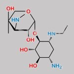 Netilmicin EP Impurity B CAS#: 67666-41-5