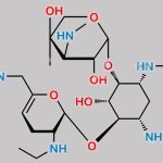 Netilmicin EP Impurity C CAS#: 63721-52-8