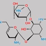 Netilmicin EP Impurity D CAS#: 63721-51-7