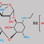 Netilmicin Sulfate CAS#: 56391-57-2