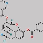 Nicomorphine CAS#: 639-48-5