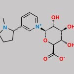 Nicotine N-Glucuronide CAS#: 153536-53-9