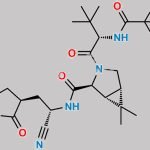 Nirmatrelvir CAS#: 2628280-40-8