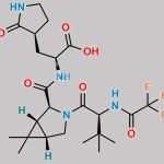 Nirmatrelvir Impurity 1 CAS#: N/A