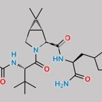 Nirmatrelvir Impurity 13 CAS#: N/A