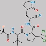 Nirmatrelvir Impurity 14 CAS#: N/A