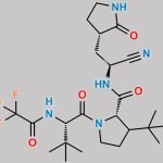 Nirmatrelvir Impurity 19 CAS#: N/A