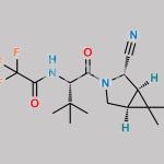 Nirmatrelvir Impurity 3 CAS#: N/A