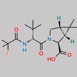 Nirmatrelvir Impurity 34 CAS#: 2755812-45-2