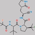 Nirmatrelvir Impurity 4 CAS#: N/A
