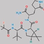 Nirmatrelvir Impurity B CAS#: 2755812-81-6