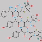 N,N-Di Nitroso Amoxicillin Impurity J Trimer CAS#: N/A