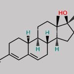 Norethindrone EP Impurity E CAS#: 79727-03-0