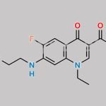 Norfloxacin EP Impurity B CAS#: 75001-77-3