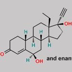 Norgestrel EP Impurity C CAS#: 20402-61-3