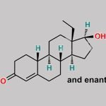 Norgestrel EP Impurity D CAS#: 793-54-4