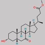 Nutriacholic Acid Methyl Ester CAS#: 10538-59-7