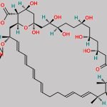 Nystatin CAS#: 1400-61-9