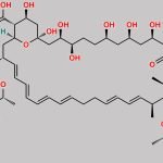 Nystatin A3 CAS#: 62997-67-5