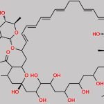 Nystatin DMSO CAS#: N/A