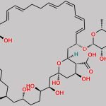 Nystatin A1 CAS#: 34786-70-4