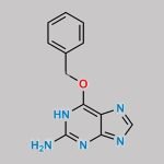 O-6-Benzyl Guanine CAS#: 19916-73-5