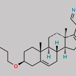 O-Chlorobutylabiraterone (USP) CAS#: 2484719-17-5