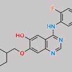 O-Desmethyl Vandetanib CAS#: 910298-60-1