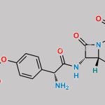 O- Methoxycarbonyl Cefadroxil CAS#: N/A